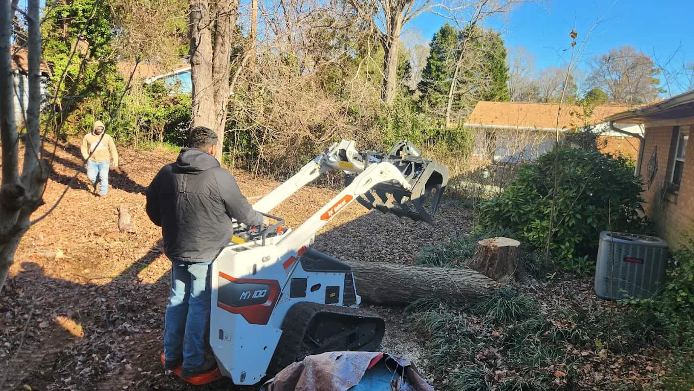 Y & VA Tree Services team