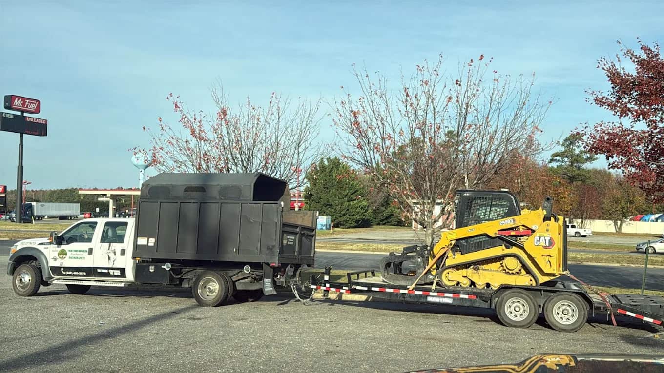 Y & VA Tree Services crew completing a tree removal in Davidson, NC