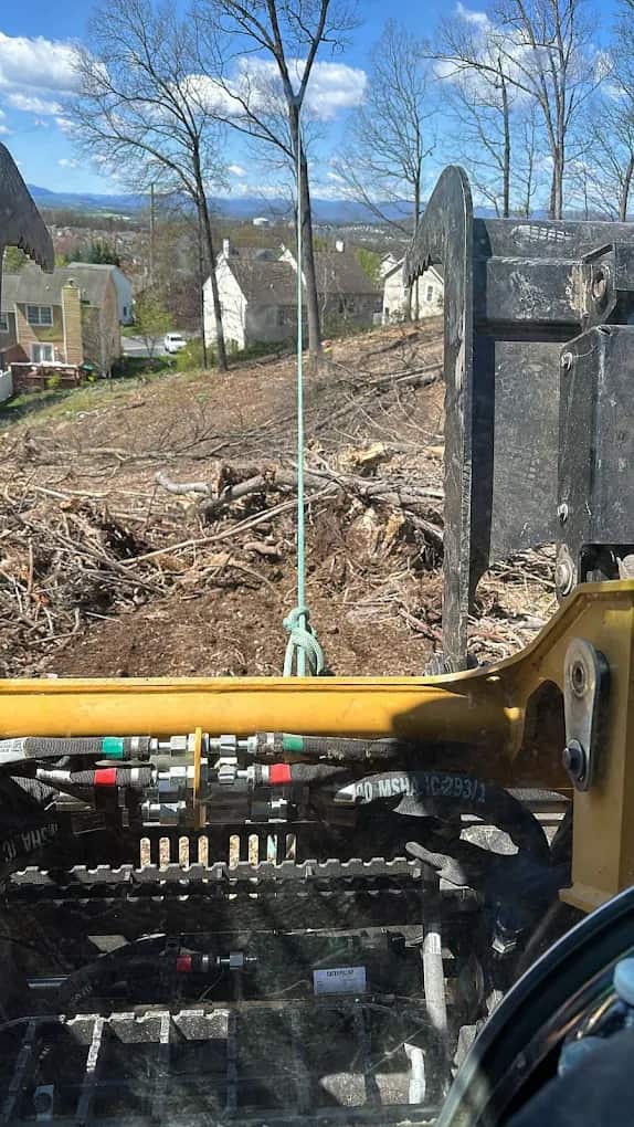 Tree removal project completed in Charlotte, NC by Y & VA Tree Services