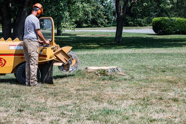 Lot clearing for residential and commercial properties