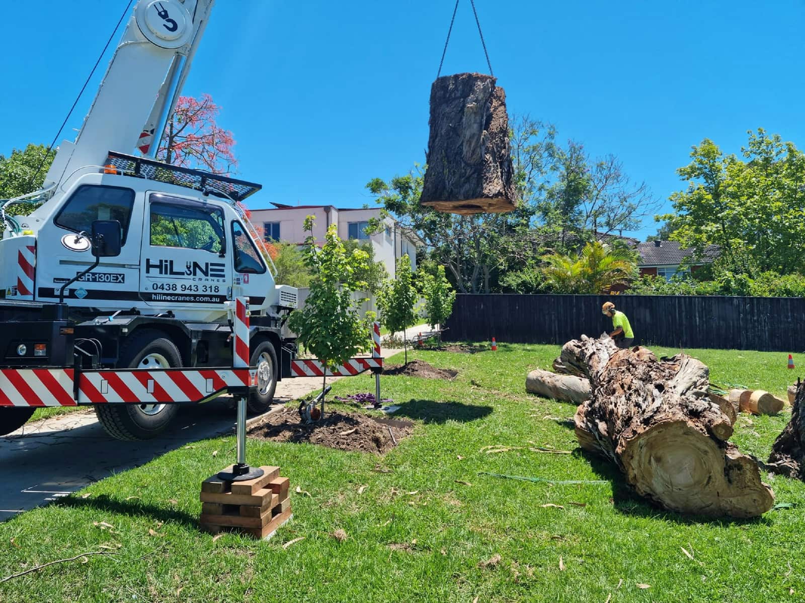 Stump grinding and removal